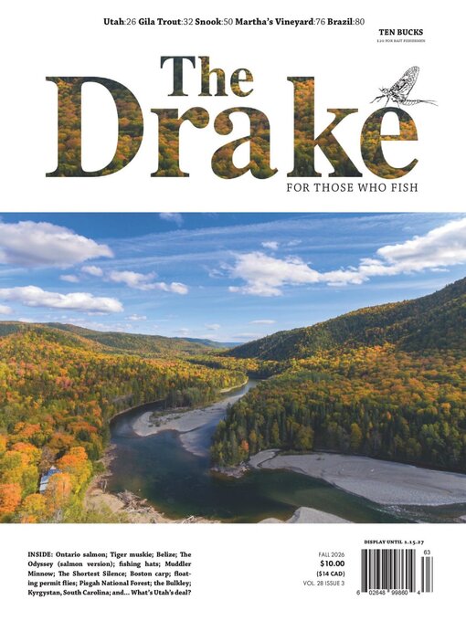 Cover image for The Drake